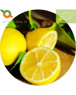 Limoni Biologici di Sicilia IGP. limoni non trattati buccia edibile