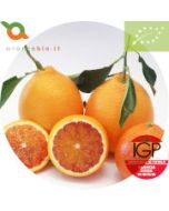 Bio Tarocco Orangen PGI