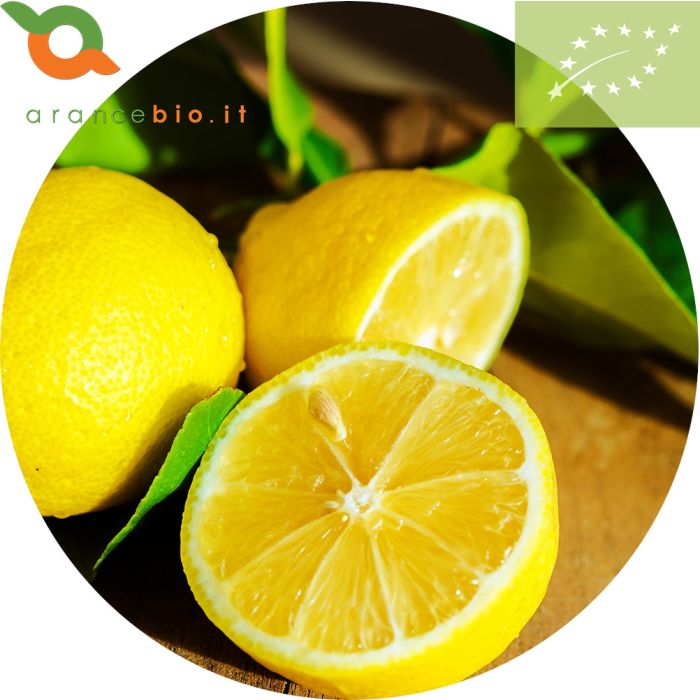 Limoni Biologici di Sicilia IGP. limoni non trattati buccia edibile